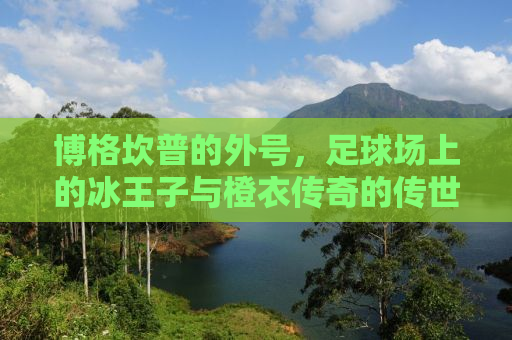 博格坎普的外号，足球场上的冰王子与橙衣传奇的传世风采