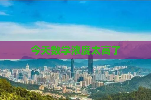 今天数学浓度太高了