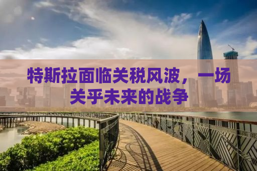 特斯拉面临关税风波，一场关乎未来的战争