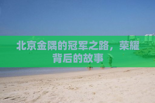北京金隅的冠军之路，荣耀背后的故事
