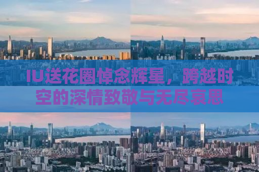 IU送花圈悼念辉星，跨越时空的深情致敬与无尽哀思