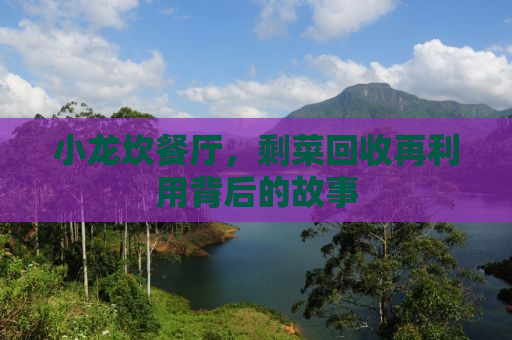 小龙坎餐厅，剩菜回收再利用背后的故事