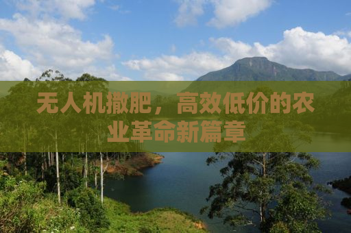 无人机撒肥，高效低价的农业革命新篇章