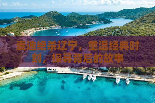 麦迪绝杀辽宁，重温经典时刻，探寻背后的故事