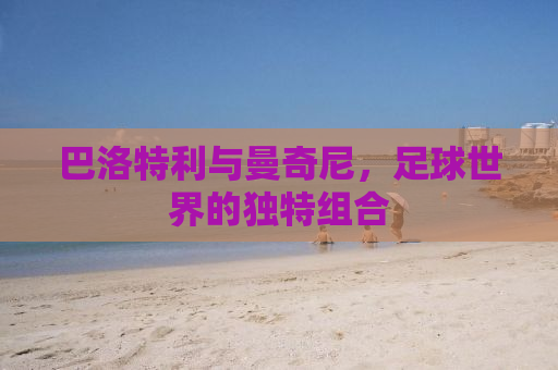 巴洛特利与曼奇尼，足球世界的独特组合