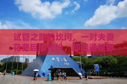 试管之路的坎坷，一对夫妻花费巨额代价，却遭遇输卵管切除的无奈现实
