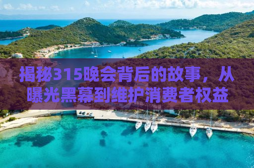 揭秘315晚会背后的故事，从曝光黑幕到维护消费者权益的力量