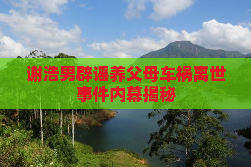 谢浩男辟谣养父母车祸离世事件内幕揭秘