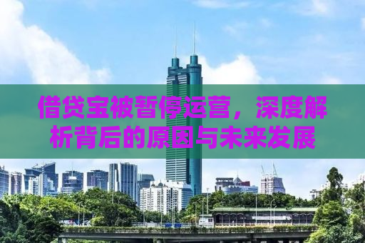 借贷宝被暂停运营，深度解析背后的原因与未来发展