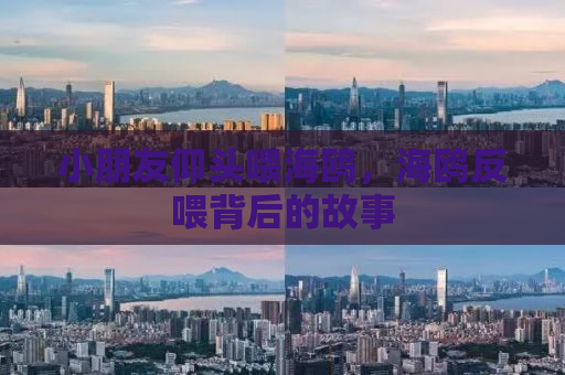 小朋友仰头喂海鸥，海鸥反喂背后的故事