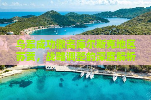 乌军成功撤离库尔斯克地区苏贾，战略调整的深度解析
