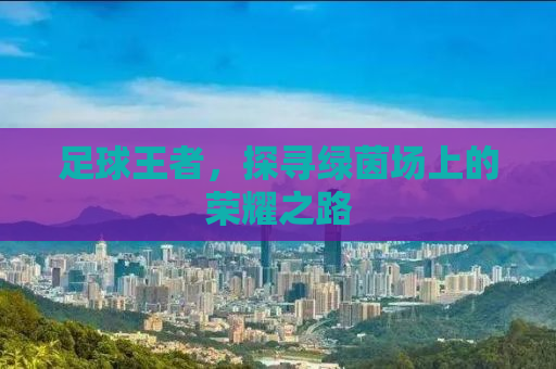 足球王者，探寻绿茵场上的荣耀之路