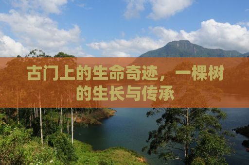 古门上的生命奇迹，一棵树的生长与传承