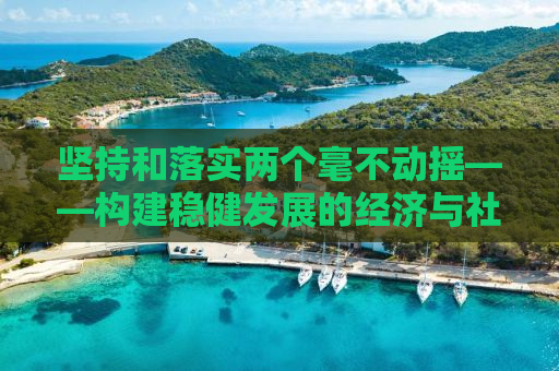 坚持和落实两个毫不动摇——构建稳健发展的经济与社会基石