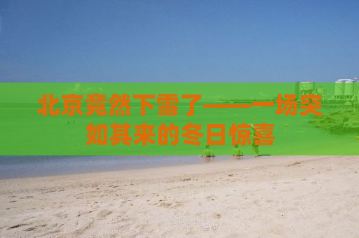 北京竟然下雪了——一场突如其来的冬日惊喜