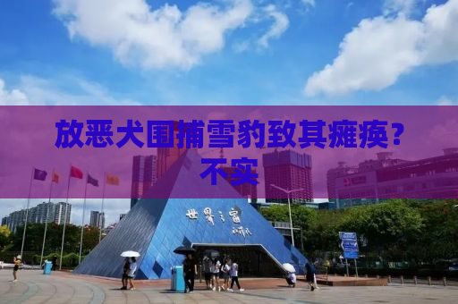 放恶犬围捕雪豹致其瘫痪？不实
