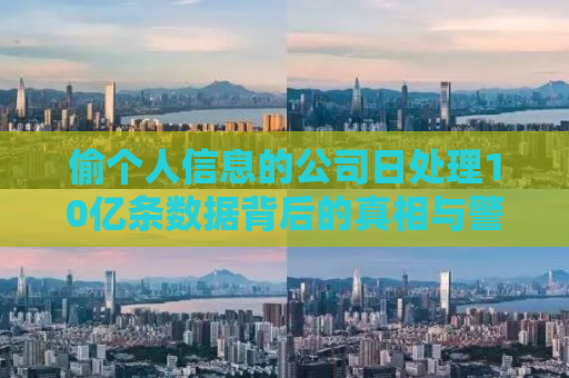 偷个人信息的公司日处理10亿条数据背后的真相与警示