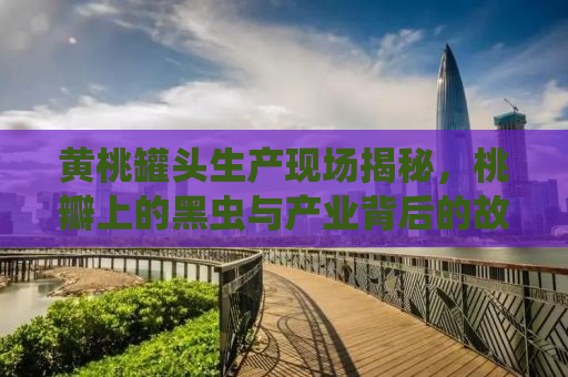黄桃罐头生产现场揭秘，桃瓣上的黑虫与产业背后的故事