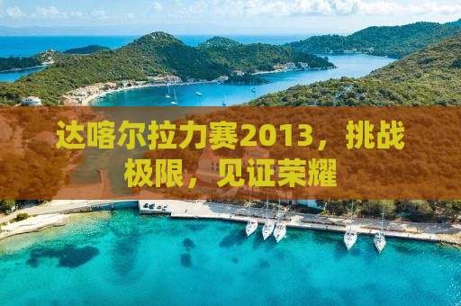 达喀尔拉力赛2013，挑战极限，见证荣耀