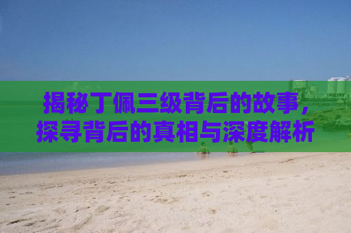 揭秘丁佩三级背后的故事，探寻背后的真相与深度解析