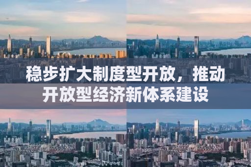 稳步扩大制度型开放，推动开放型经济新体系建设