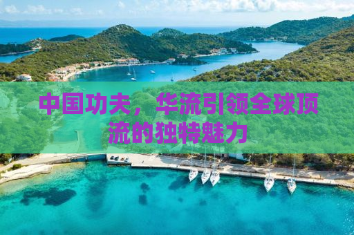 中国功夫，华流引领全球顶流的独特魅力