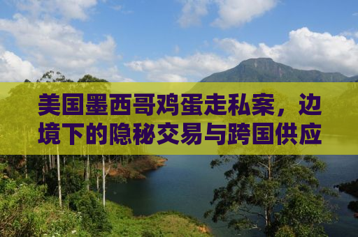美国墨西哥鸡蛋走私案，边境下的隐秘交易与跨国供应链的挑战