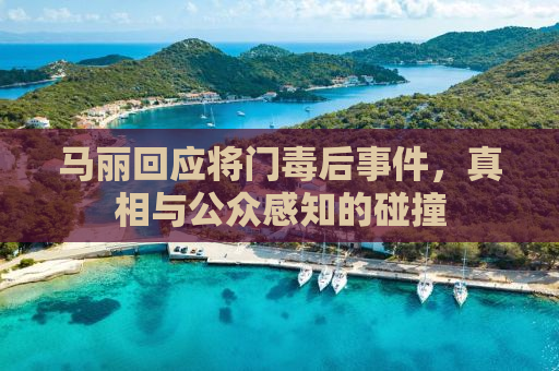 马丽回应将门毒后事件，真相与公众感知的碰撞