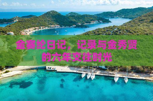 金赛纶日记，记录与金秀贤的六年交往时光