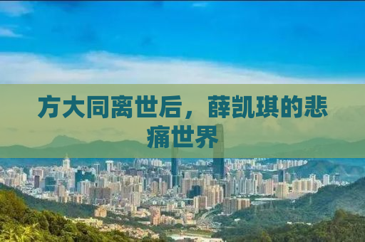 方大同离世后，薛凯琪的悲痛世界