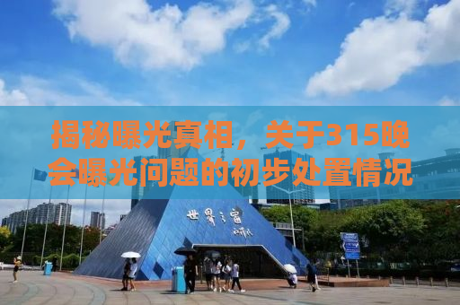 揭秘曝光真相，关于315晚会曝光问题的初步处置情况汇总