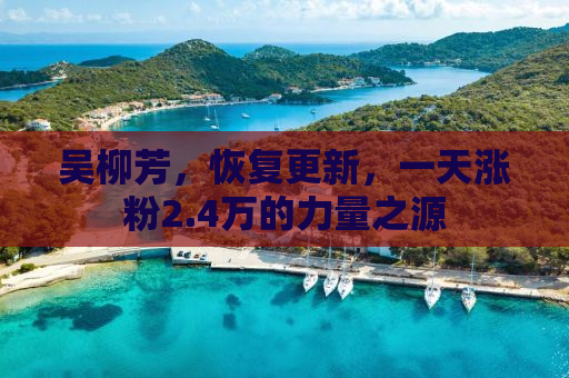 吴柳芳，恢复更新，一天涨粉2.4万的力量之源