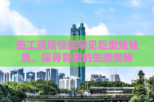 施工现场惊现罕见巨型娃娃鱼，探寻背后的生态奥秘