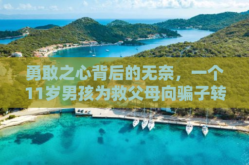 勇敢之心背后的无奈，一个11岁男孩为救父母向骗子转账77次的警示故事