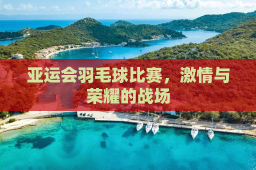 亚运会羽毛球比赛，激情与荣耀的战场
