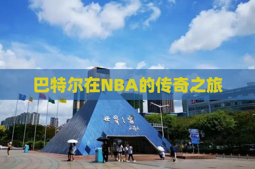 巴特尔在NBA的传奇之旅