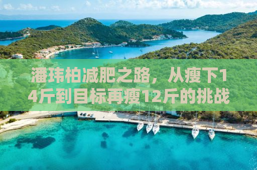 潘玮柏减肥之路，从瘦下14斤到目标再瘦12斤的挑战与坚持