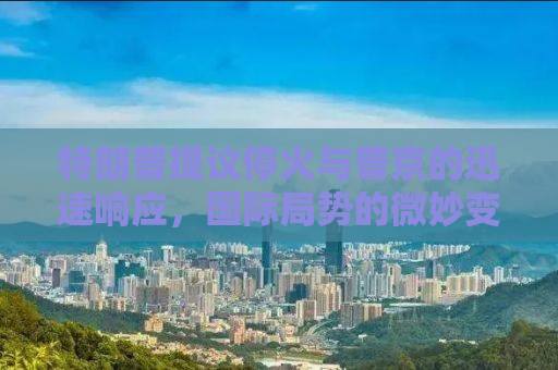 特朗普提议停火与普京的迅速响应，国际局势的微妙变化