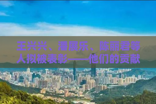 王兴兴、潘展乐、陈丽君等人拟被表彰——他们的贡献与影响力