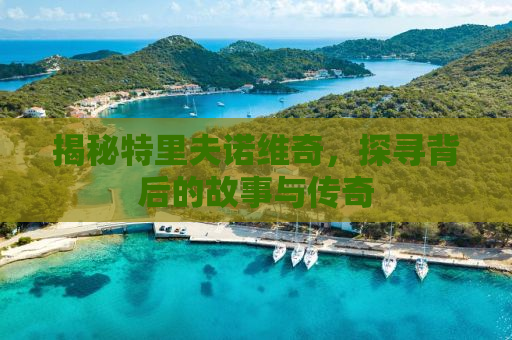 揭秘特里夫诺维奇，探寻背后的故事与传奇