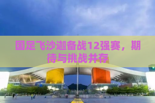国足飞沙迦备战12强赛，期待与挑战并存