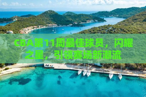 CBA第11周最佳球员，闪耀之星，引领赛场新潮流