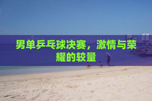 男单乒乓球决赛，激情与荣耀的较量