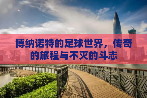 博纳诺特的足球世界，传奇的旅程与不灭的斗志