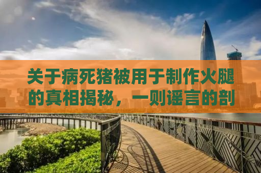 关于病死猪被用于制作火腿的真相揭秘，一则谣言的剖析与澄清