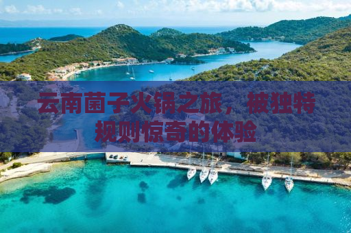 云南菌子火锅之旅，被独特规则惊奇的体验
