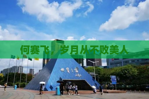 何赛飞，岁月从不败美人