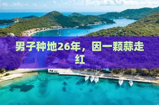 男子种地26年，因一颗蒜走红
