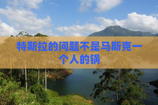 特斯拉的问题不是马斯克一个人的锅