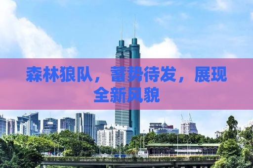 森林狼队，蓄势待发，展现全新风貌